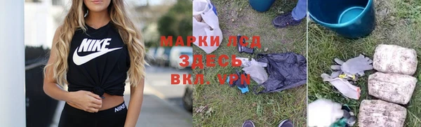 индика Арсеньев