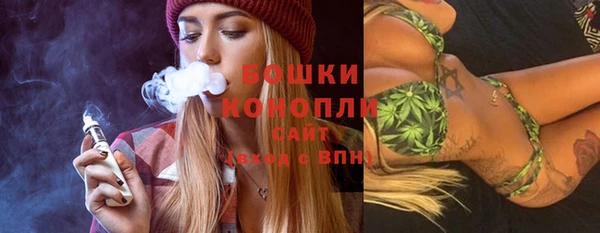 хмурый Александровское