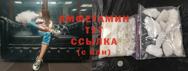 индика Арсеньев