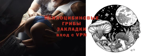 гидра Армянск
