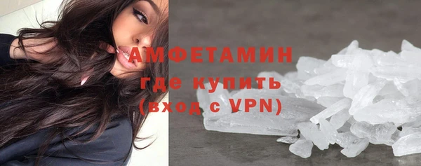 индика Арсеньев