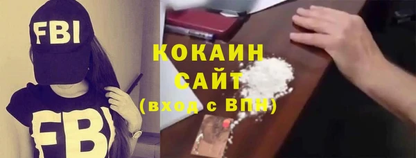 индика Арсеньев