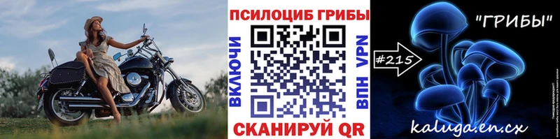 купить наркотики цена  Белинский  Псилоцибиновые грибы мицелий 